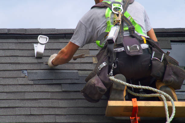 Best Storm Damage Roof Repair  in Hays, MT