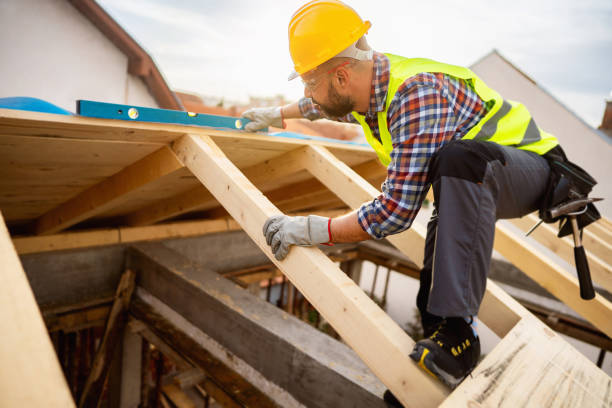 Best Roof Gutter Cleaning  in Hays, MT